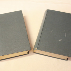 Alexandre Dumas Myladyn poika I-II